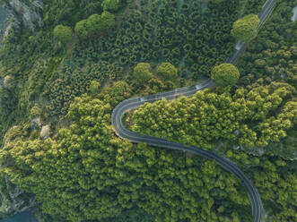 Luftaufnahme der Amalfi-Straße Serpentinenstraße durch den Wald entlang der Amalfiküste bei Positano, Salerno, Kampanien, Italien. - AAEF24270