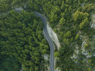 Luftaufnahme der Amalfi-Straße Serpentinenstraße durch den Wald entlang der Amalfiküste bei Positano, Salerno, Kampanien, Italien. - AAEF24278