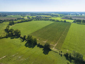 Luftaufnahme einer Landschaft mit grünem Ackerland und Bäumen, Wieler, Swalmen, Limburg, Niederlande. - AAEF24458