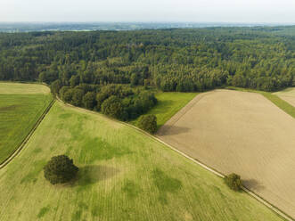 Luftaufnahme von grünen Feldern mit Baum vor dem hügeligen Wald Bergherbos, Beek, Montferland, Gelderland, Niederlande. - AAEF24465
