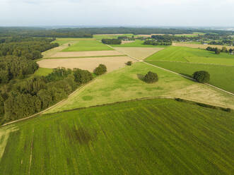 Aerial view of hilly farmland along forest Bergherbos, Beek, Montferland, Gelderland, Netherlands. - AAEF24469