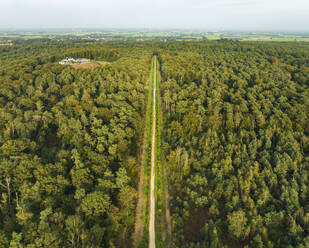 Luftaufnahme des Mischwaldes Landgoed Huis Bergh mit Mottenhügel, Zeddam, Montferland, Gelderland, Niederlande. - AAEF24472