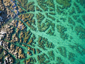 Luftaufnahme des kristallklaren Wassers entlang der Küstenlinie mit felsigem Meeresboden auf der Insel Veliki Brijun, Nationalpark Brijuni, Istrien, Kroatien. - AAEF24503