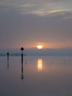 Germany, Bodensee at foggy sunrise - BSTF00244