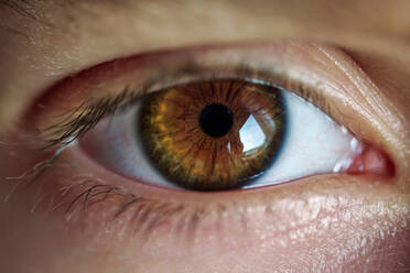 Closeup of brown eye with reflection of crop person staring at camera in daytime - ADSF48884