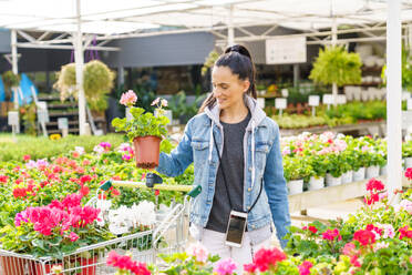 Positive Hispanic female customer with smartphone putting blooming colorful potted flower into trolley while choosing plants in light floral shop - ADSF48928