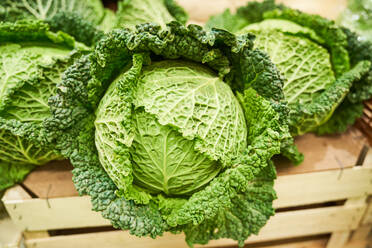 Pile of cabbages with lush green leaves placed on wooden table in food store - ADSF48943