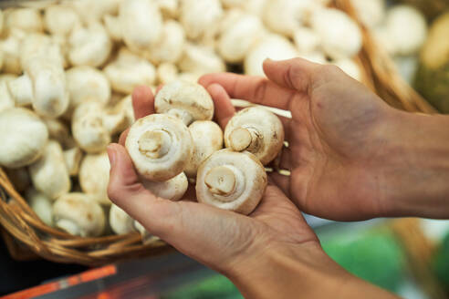 Female hands with catching mushrooms from a basket - ADSF48944