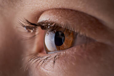 Closeup brown eye with gleam of light of crop anonymous dissatisfied kid with tears on eyelashes crying in light room - ADSF48963