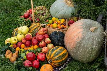 A colorful assortment of fresh fruits and vegetables, including pumpkins, apples, grapes, and pears, displayed on the grass. - ADSF48991