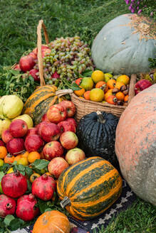 A variety of fresh fruits and pumpkins, including apples and grapes, displayed in a wicker basket on a grassy background. - ADSF48992