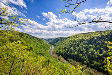 Green trees growing in tropical forest with calm river and mountainous terrain with blue sky on summer day - ADSF49005