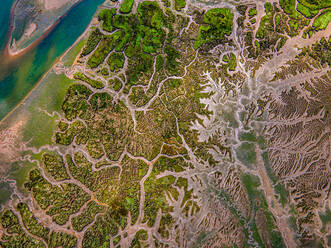 Aerial view of vibrant marshland with intertwining waterways and patches of lush green vegetation - ADSF49059