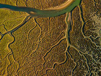 Aerial view of intricate marshland patterns with a winding river reflecting the golden sunlight - ADSF49060