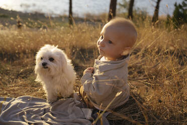 Niedlicher kleiner Junge sitzt mit Hund auf einem Feld - YBF00310