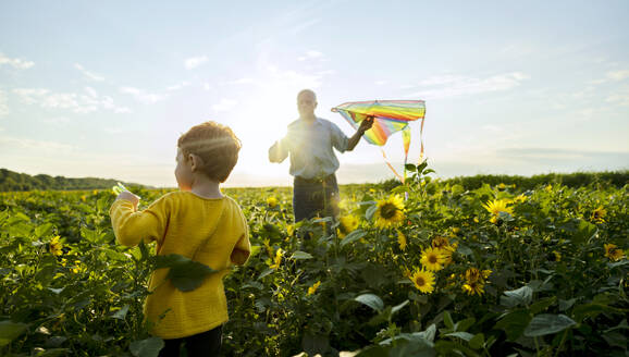 Grandfather holding kite with grandson in sunflower field - MBLF00155