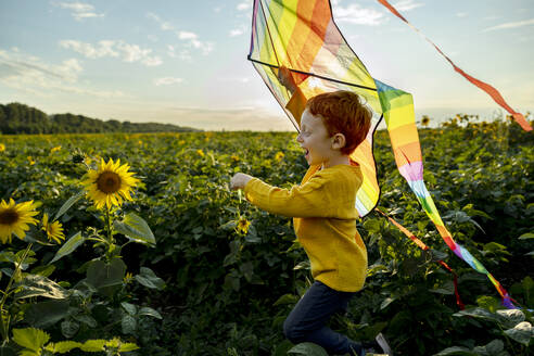 Cheerful boy holding kite and running in sunflower field - MBLF00156