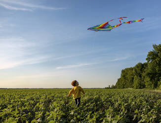 Playful boy flying kite in agricultural field under sky - MBLF00164