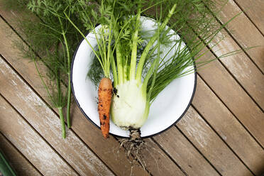 Carrot and fennel on plate - FOLF12357