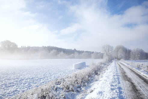 Rural road and field in snow - FOLF12369