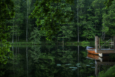 Forest and boat on lake - FOLF12451