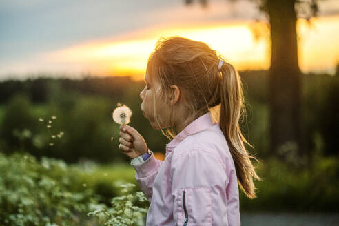 Girl blowing dandelion at sunset - FOLF12455