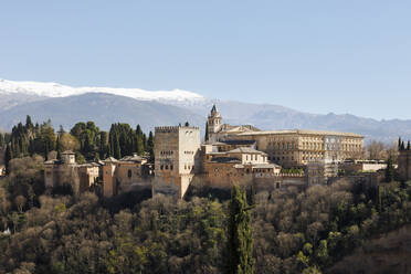 Monastery and forest on mountain - FOLF12517