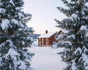 Hütte im Schnee zwischen Bäumen - FOLF12572