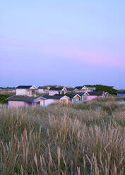 Beach huts and grass on dunes at sunset - FOLF12573