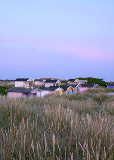 Beach huts and grass on dunes at sunset - FOLF12573