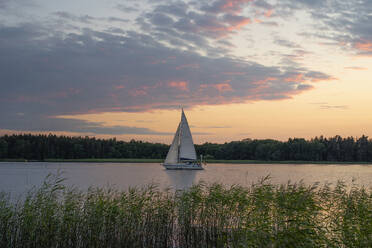 Yacht sailing on Malaren Lake at sunset,Sweden - FOLF12582