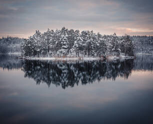 Snow on trees in forest by river - FOLF12637