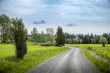 Rural road to forest under clouds - FOLF12648