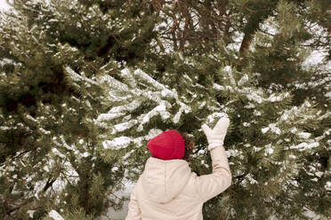 Woman touching snow covered spruce tree in winter forest - VIVF01257