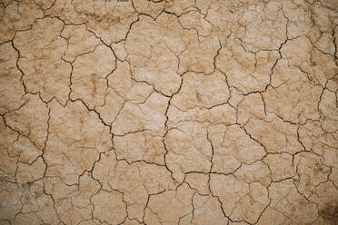 Top view of a background of arid and cracked terrain - ADSF49097