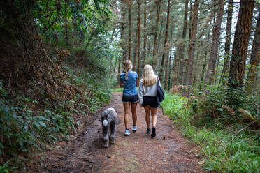 Back view of anonymous active young women and dog walking on pathway among green forest during trekking in mountain in sunny day - ADSF49105