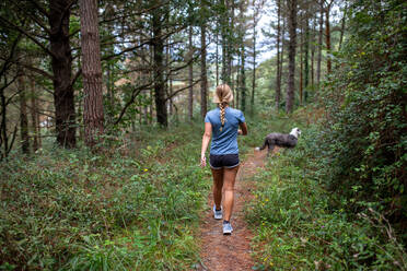 Back view of anonymous active young woman and dog walking on pathway among green forest during trekking in mountain in sunny day - ADSF49106