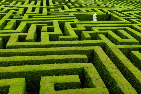 From above view of white statue bull in the center of rows of green plants network of paths and hedges designed as puzzle - ADSF49143