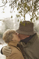 Mature couple standing under a tree kissing - FSIF06684