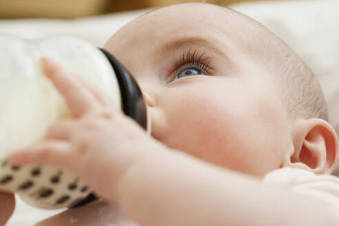 Close up of Baby Girl Drinking from Baby Bottle - FSIF06696