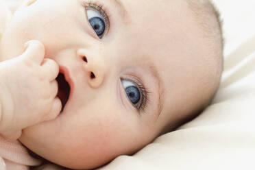 Baby Girl with Hand in Mouth, Close-up view - FSIF06700