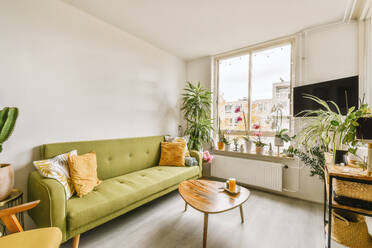 Green couch with coffee table placed in front of television with various plants in living room at contemporary apartment - ADSF49327