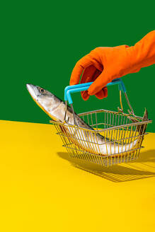 Side view of crop anonymous person in orange glove holding basket with fish against yellow and green background - ADSF49432