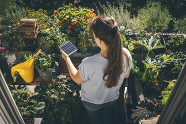 Frau hält Solarbatterie in der Nähe von Pflanzen auf dem Balkon - TILF00008