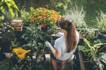 Frau hält Kelle und macht Gartenarbeit auf dem Balkon - TILF00010