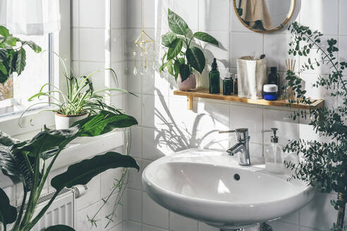 Waschbecken neben Pflanzen im weißen Badezimmer - TILF00011