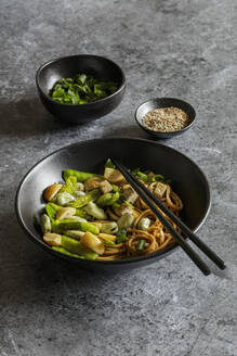 Bowl of vegan miso udon bowl with tofu, snap peas, broad beans and turnips - EVGF04417