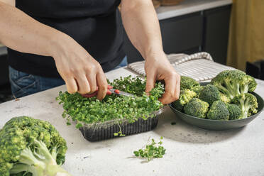 Frau schneidet Microgreens mit einer Schere und Brokkoli an der Küchentheke - TILF00021