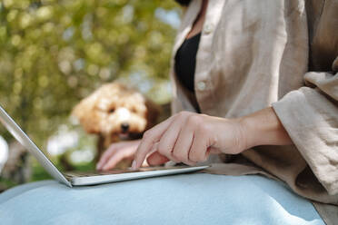 Freiberufler arbeitet an Laptop mit Hund im Park - MDOF01684