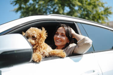 Glückliche Frau lehnt sich mit Pudelhund im Auto aus dem Fenster - MDOF01709